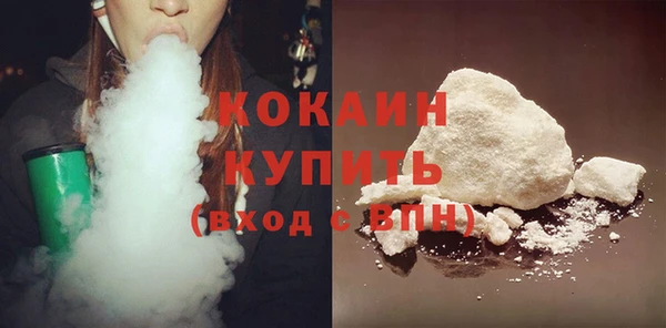 шишки Алексеевка