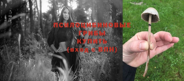 шишки Алексеевка