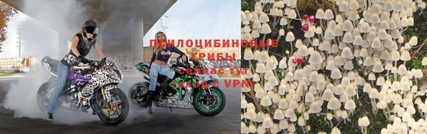 прущие крисы Алзамай