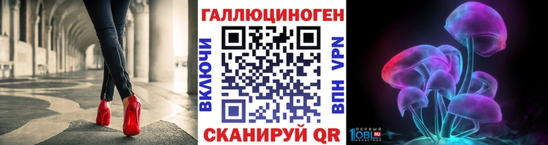 даркнет сайт  Курчалой  omg ТОР  Галлюциногенные грибы GOLDEN TEACHER 