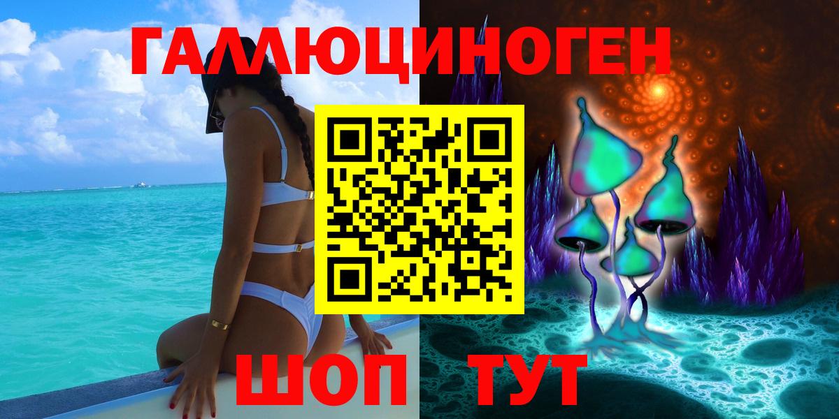 Курчалой  что такое   Псилоцибиновые грибы Cubensis  Вход с VPN  Псилоцибиновые грибы Psilocybine cubensis 