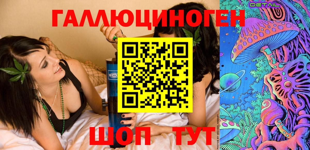 Псилоцибиновые грибы Psilocybe Курчалой